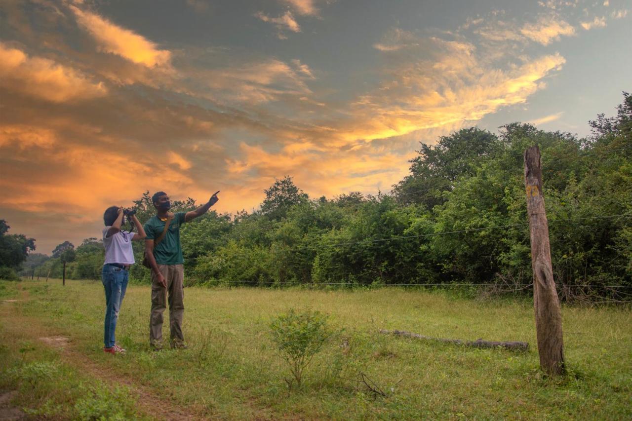 Big Game Udawalawe - By Eco Team Hotell Exteriör bild