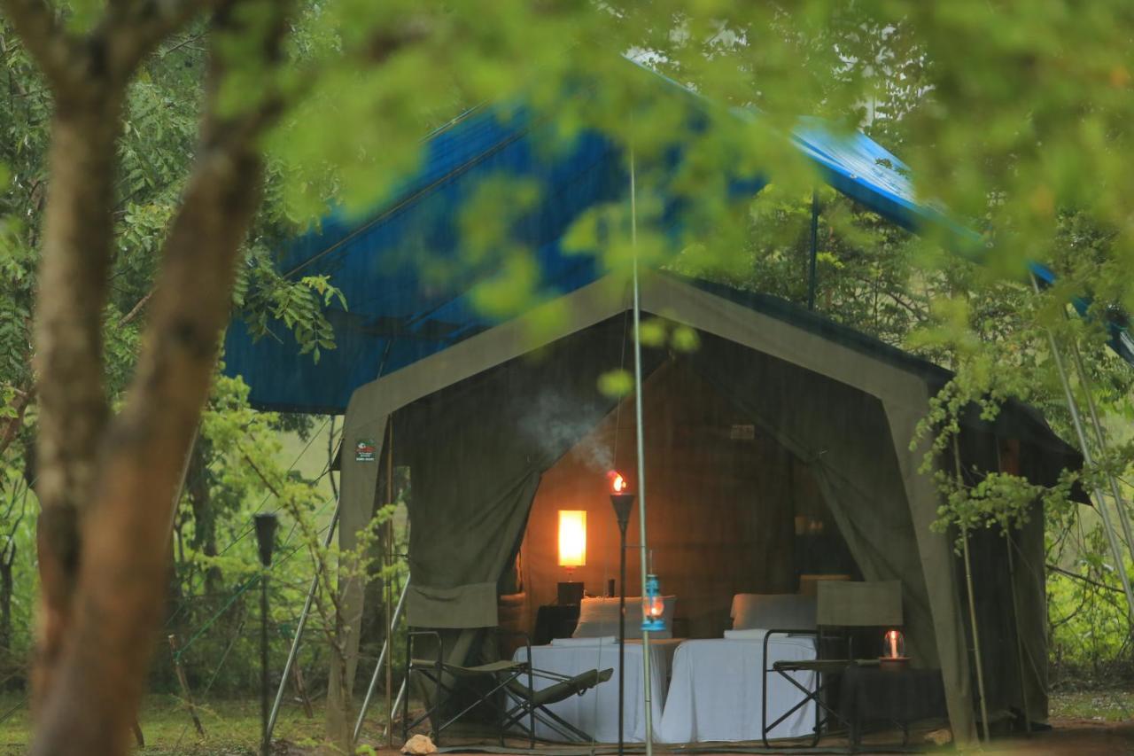 Big Game Udawalawe - By Eco Team Hotell Exteriör bild