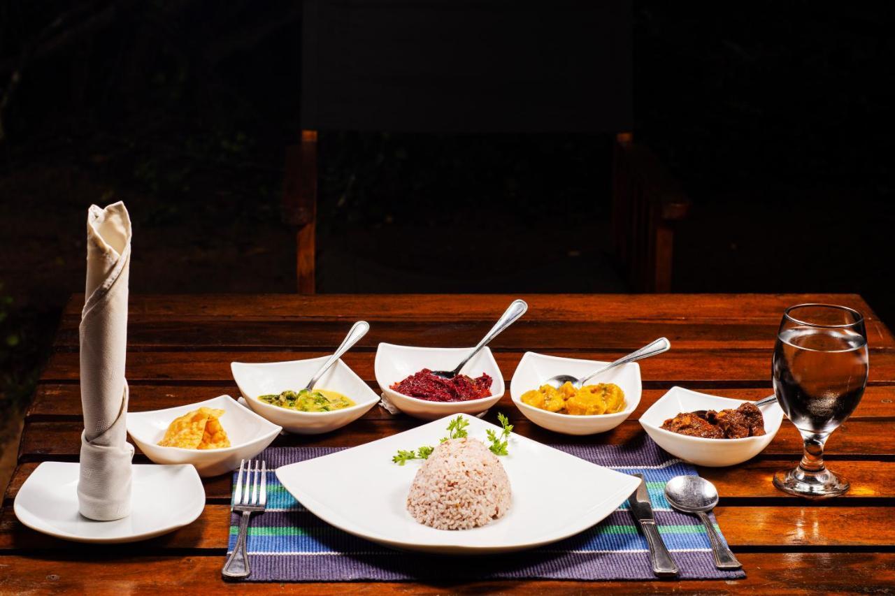 Big Game Udawalawe - By Eco Team Hotell Exteriör bild