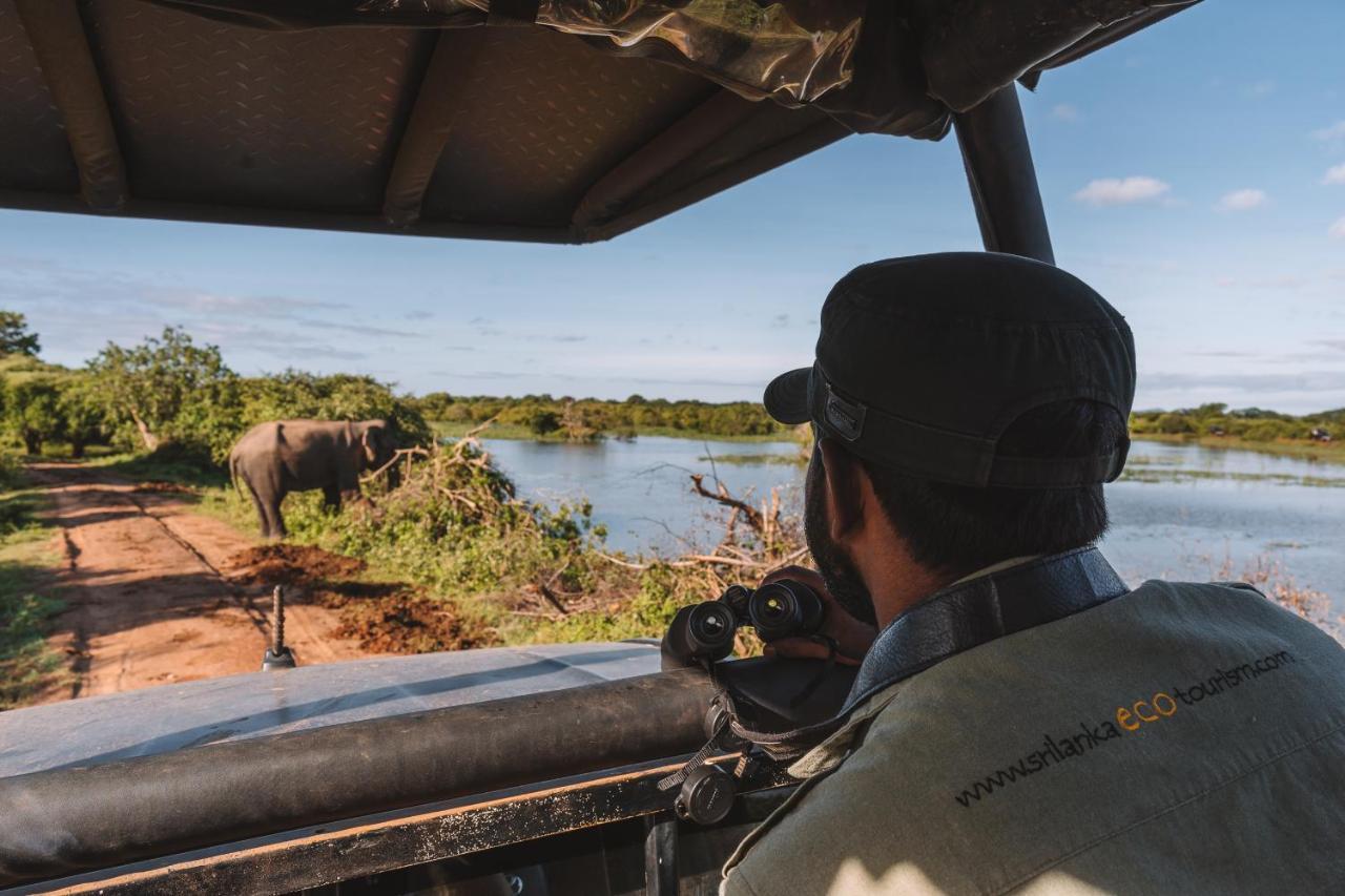Big Game Udawalawe - By Eco Team Hotell Exteriör bild