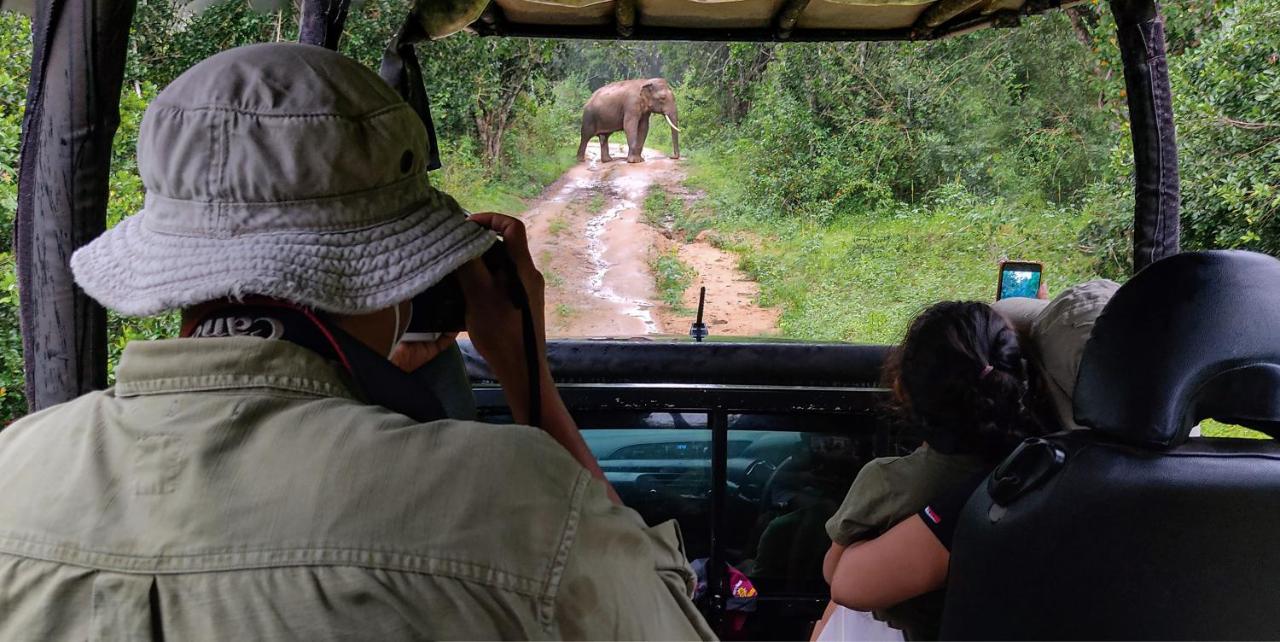 Big Game Udawalawe - By Eco Team Hotell Exteriör bild