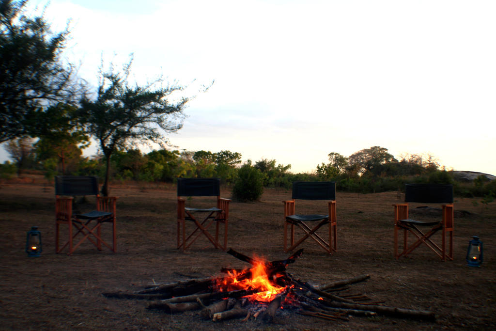 Big Game Udawalawe - By Eco Team Hotell Exteriör bild