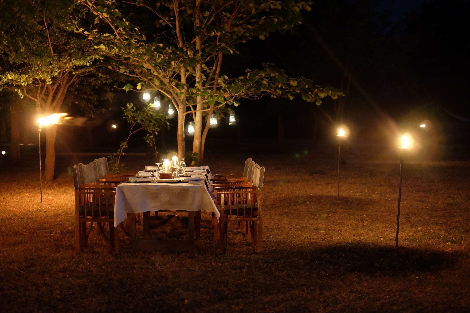 Big Game Udawalawe - By Eco Team Hotell Exteriör bild