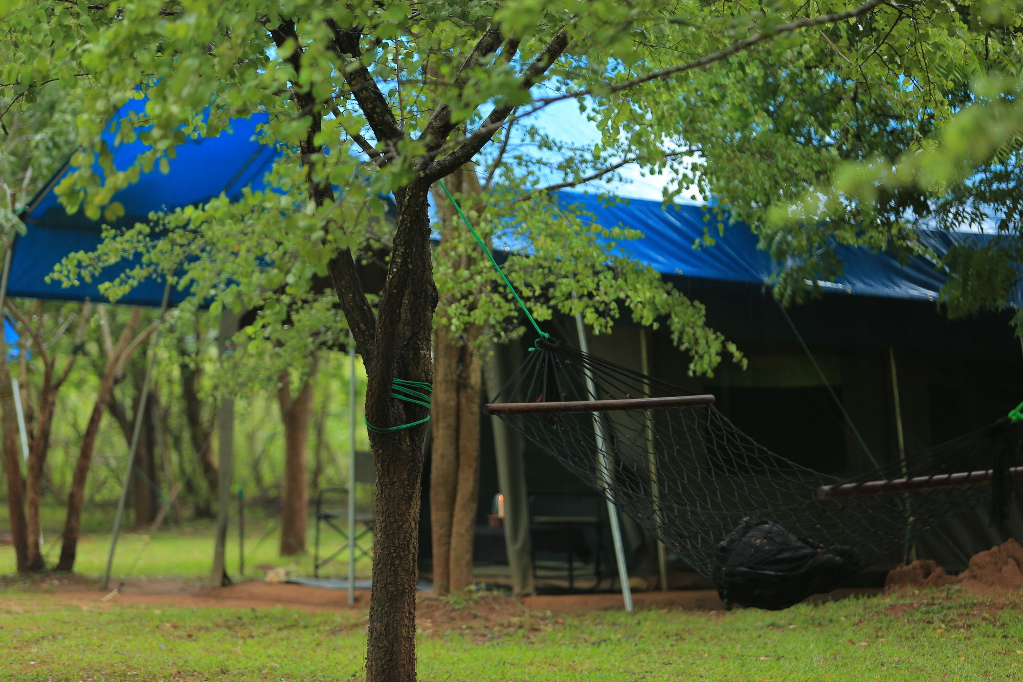 Big Game Udawalawe - By Eco Team Hotell Exteriör bild