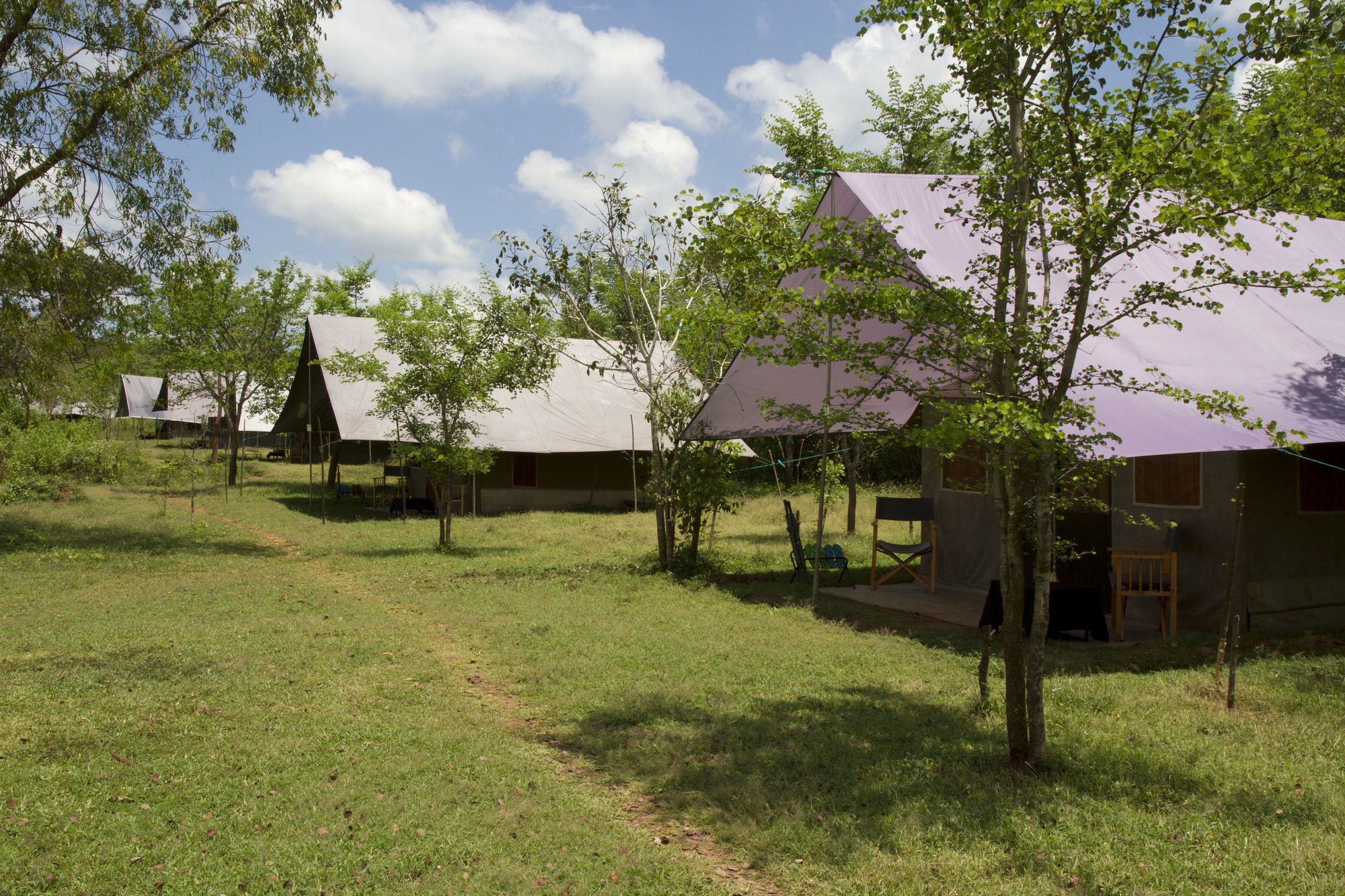 Big Game Udawalawe - By Eco Team Hotell Exteriör bild